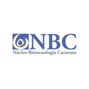 Logo NBC PUCV PNG